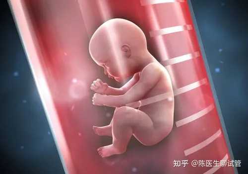 <b>广州正规代怀机构,做试管婴儿医保可以报销吗?-试管婴儿前三个月孕妇饮食_云</b>