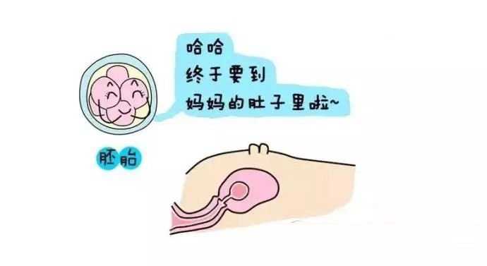 捐卵QQ群[广州传承生殖]+上海医院供卵试管生男孩是真的吗？流程是怎么样的？